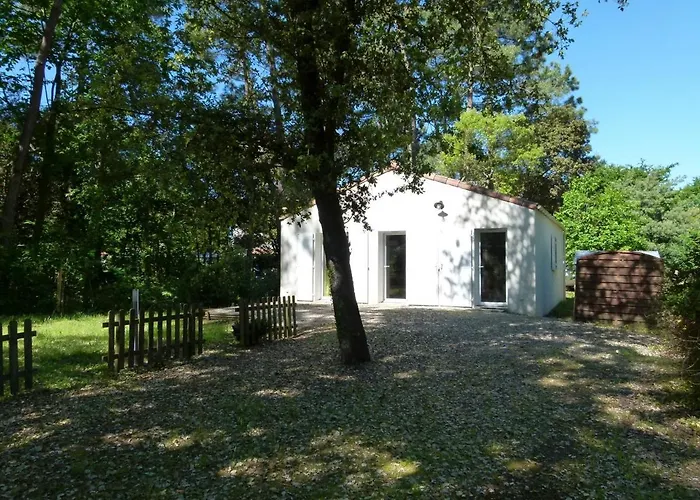 Vakantiehuis Maison Neuve A Jard-sur-mer, Proche Plage, Foret, Port, 4 Pers, Wifi, Jardin, Plancha - Fr-1-336-59 *